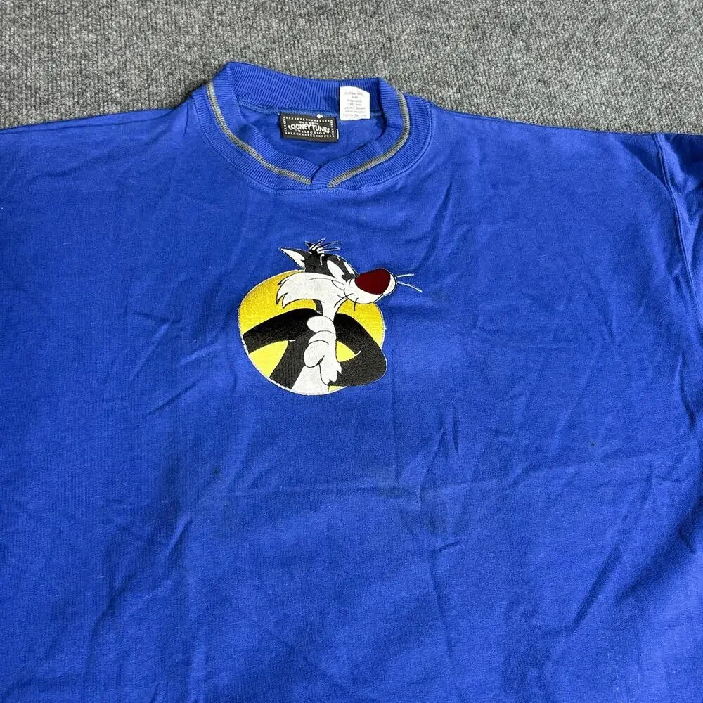 Looney Tunes Sweatshirt Boys XL 18-20 Blue Sylvester Tweety Fleece Pullover